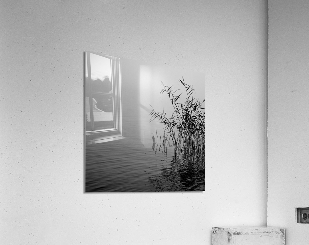 Mist over the lake 2021 Acrylic Print