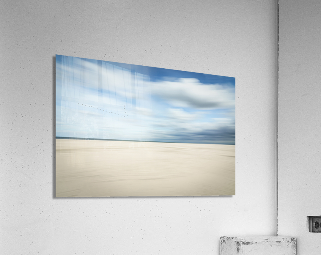 birds at the seaside Acrylic Print