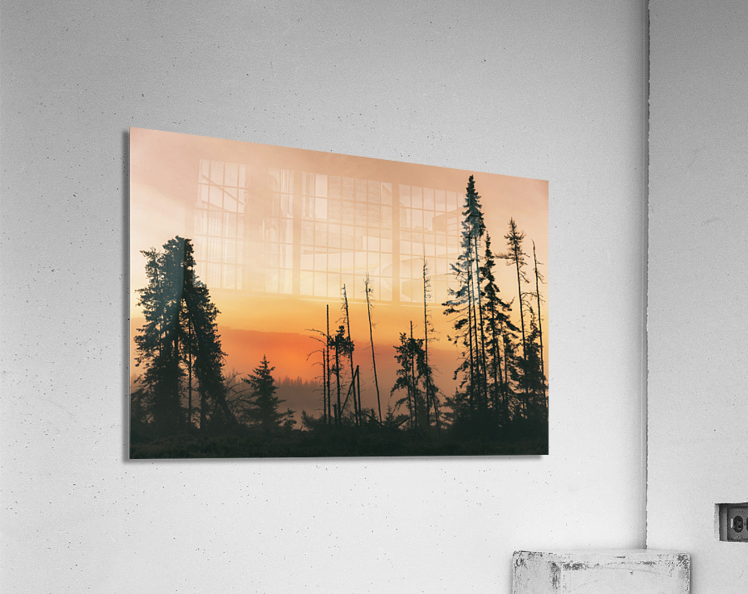 Nature sauvage Acrylic Print