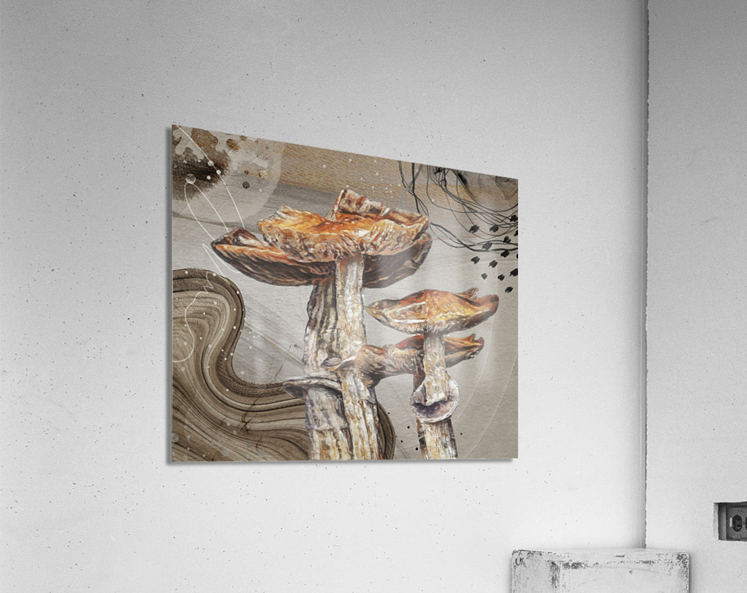 Magic Mushroom Acrylic Print