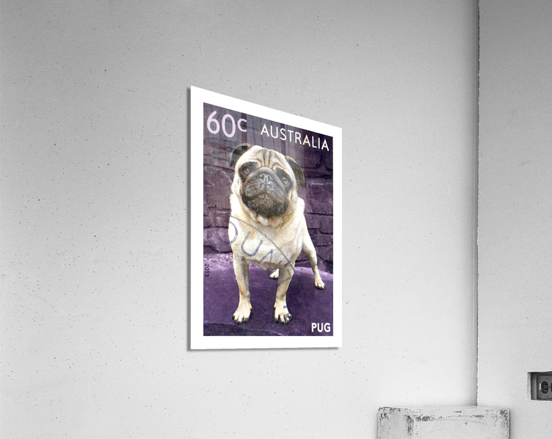 2013 AUSTRALIA Pug Dog Postage Stamp Acrylic Print