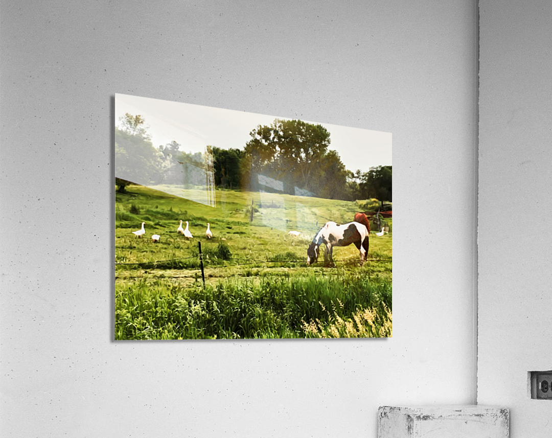 Slow Down Acrylic Print