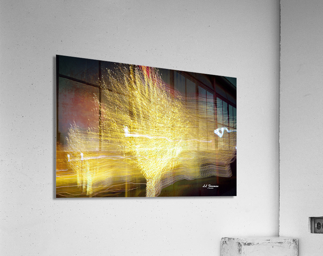 LLF 0593 Acrylic Print