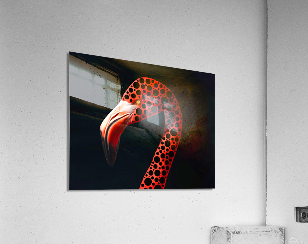 Black Spotted Flamingo  Acrylic Print