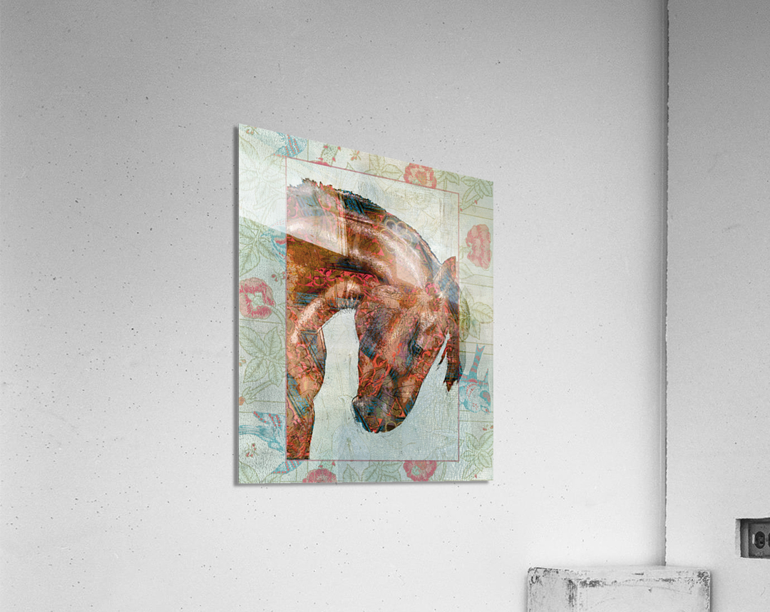 Designer Horse  Acrylic Print
