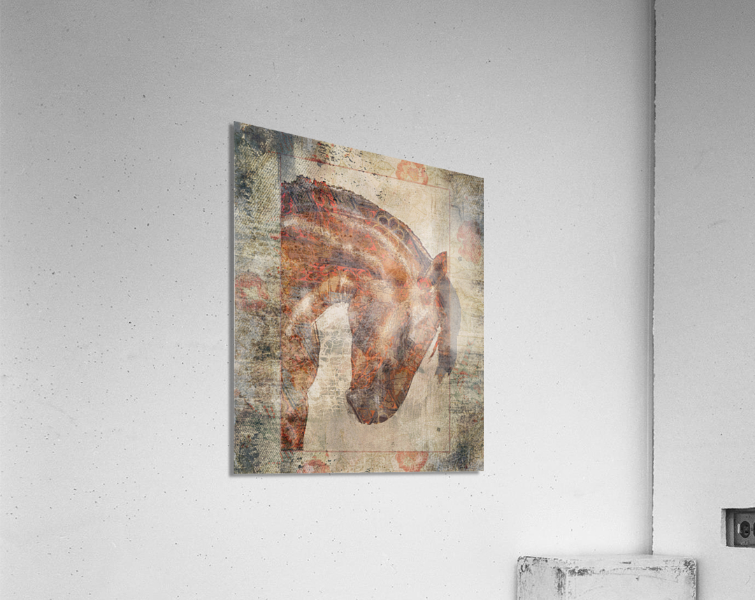Designer Horse 2 Acrylic Print