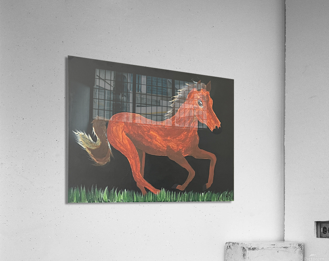 Horse Acrylic Print
