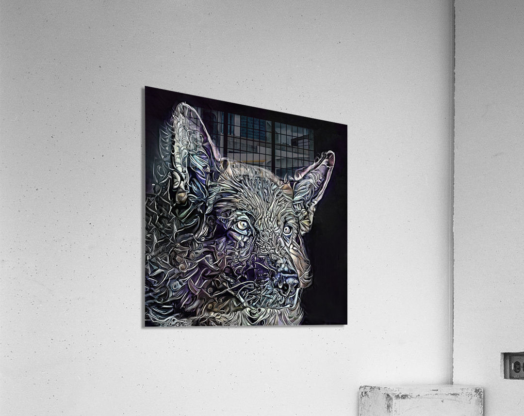 Duke The German Shepherd  Acrylic Print