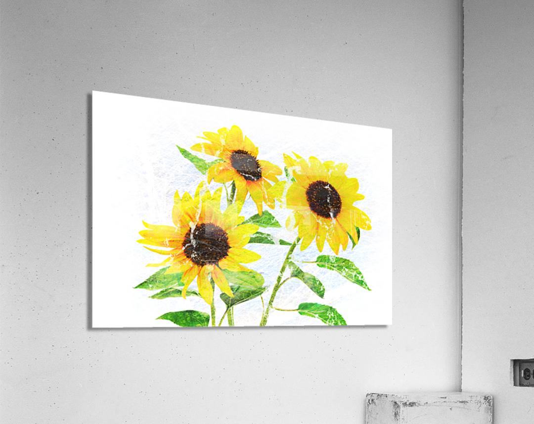 Abstract bouquet of flowering sunflowers Acrylic Print