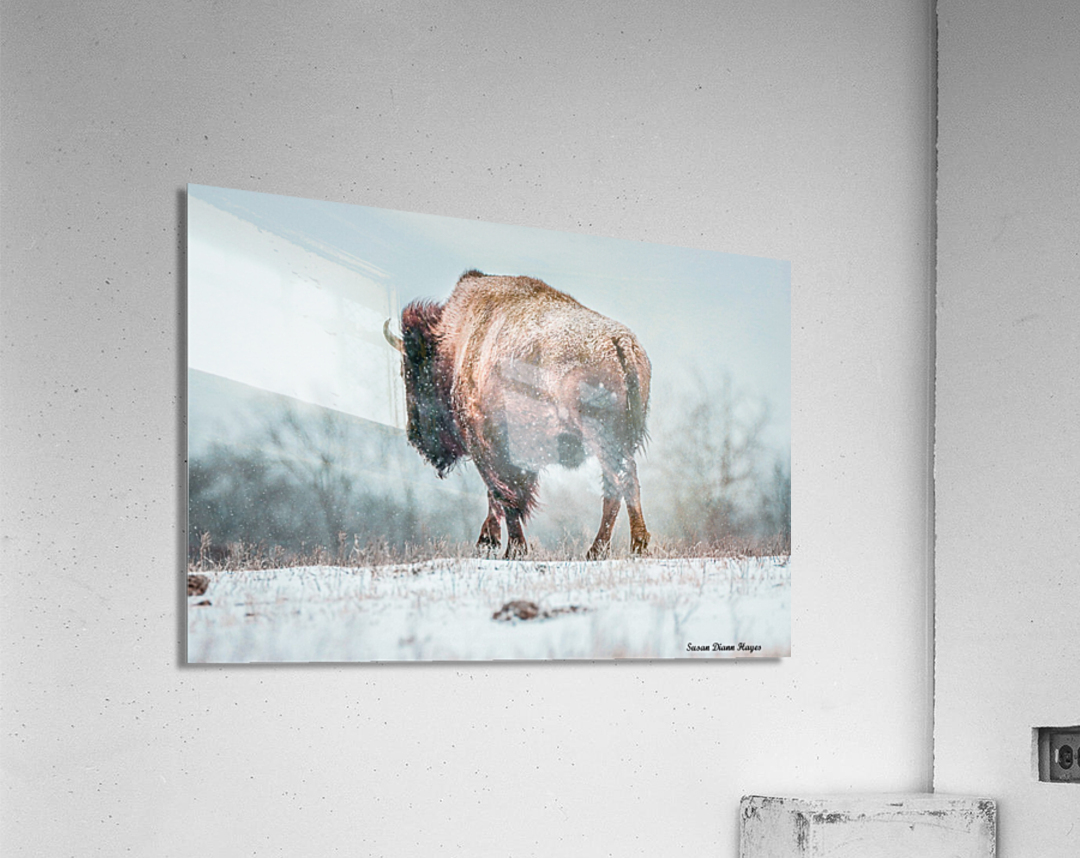 The Cold Walk Home Acrylic Print