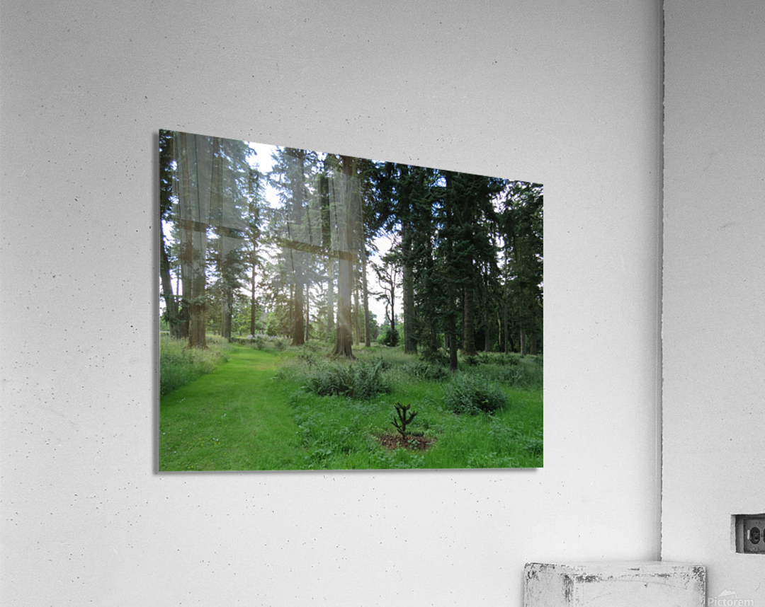 Glamis Castle Grounds Acrylic Print