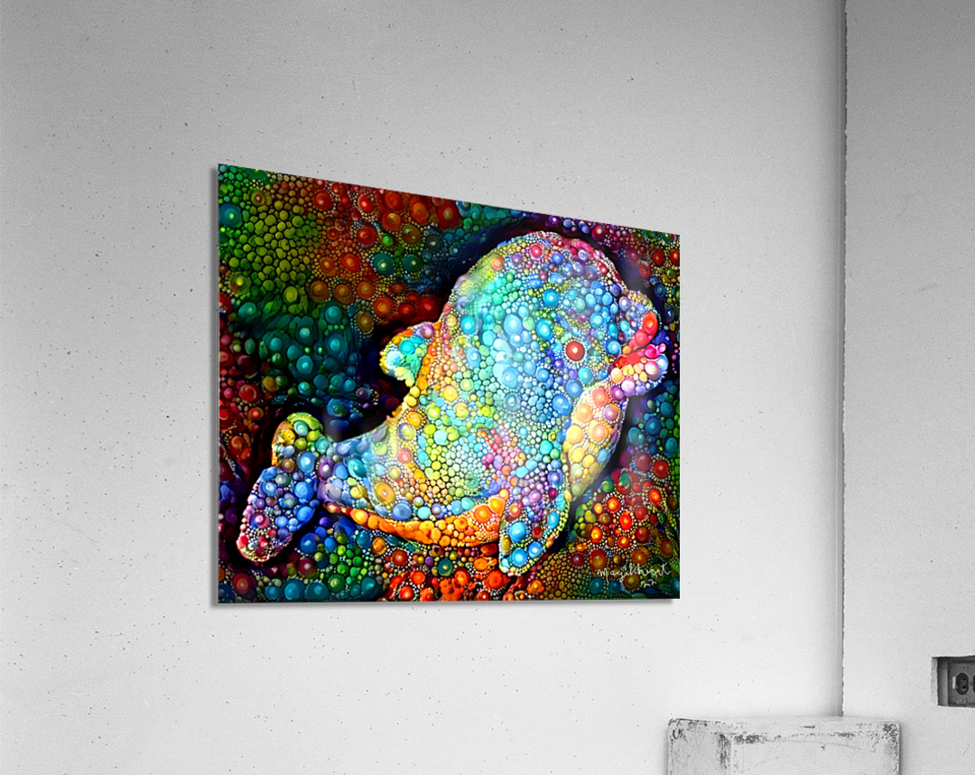 Bubbles The Baby Dolphin Acrylic Print