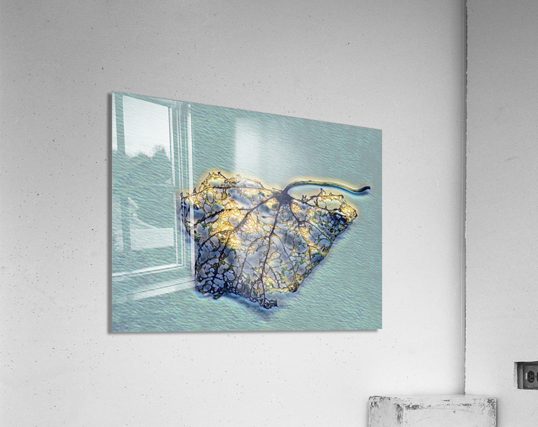 Winter Of Life Acrylic Print