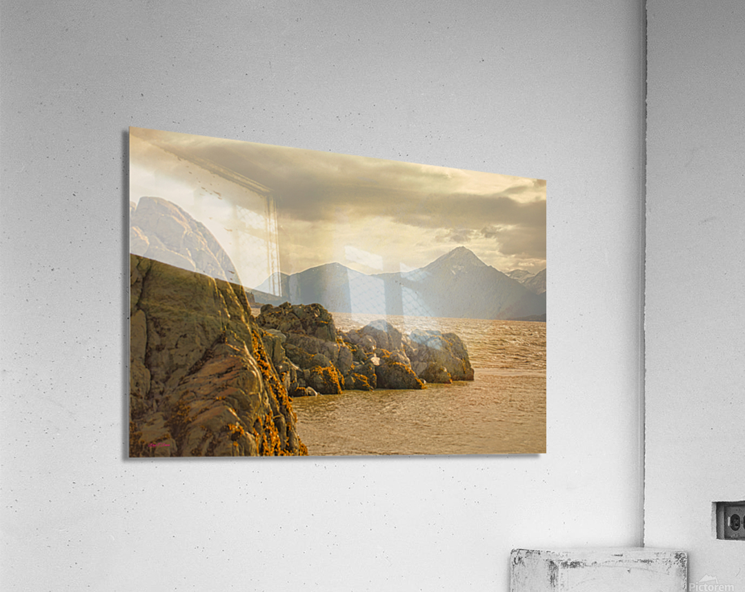 Turnagin Arm Acrylic Print