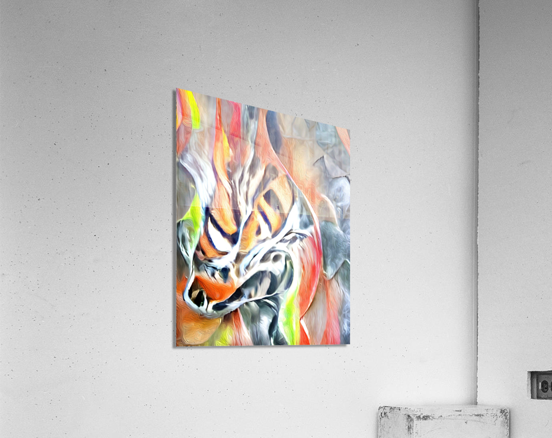 Crouched Tiger Hidden Dragon Acrylic Print