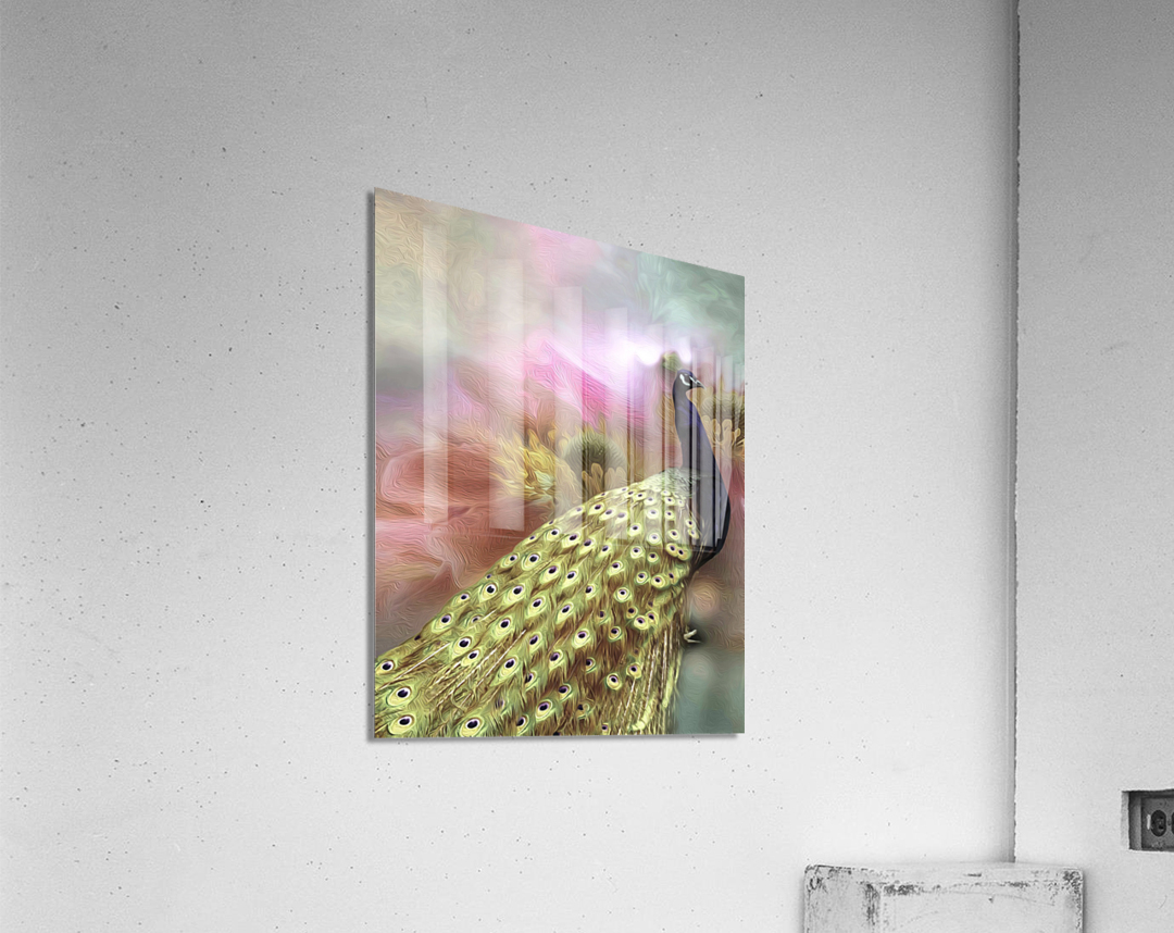 62D6BD45 BAC3 4609 9903 627048760705 Acrylic Print