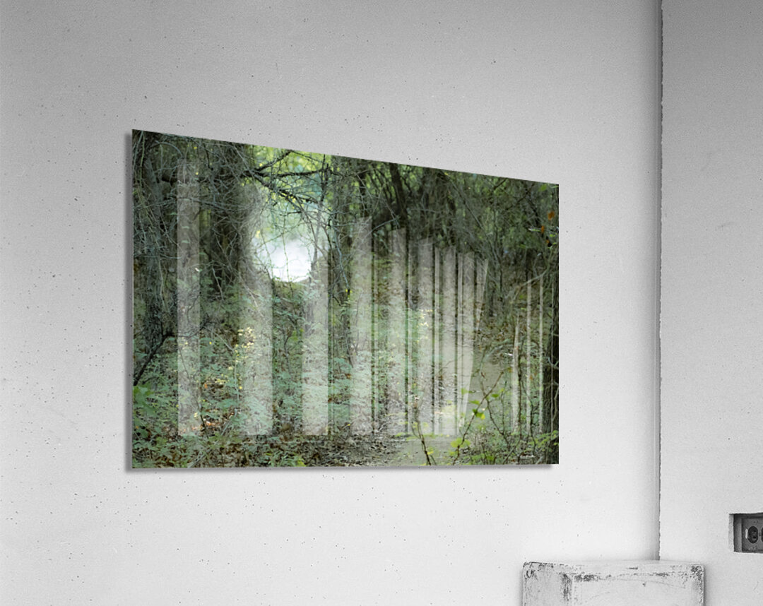 Pathway Series- 1 Charons Garden Acrylic Print