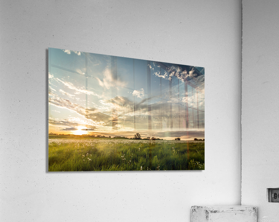 Nature Photography - Sunset Field - Busch Wildlife MO Acrylic Print