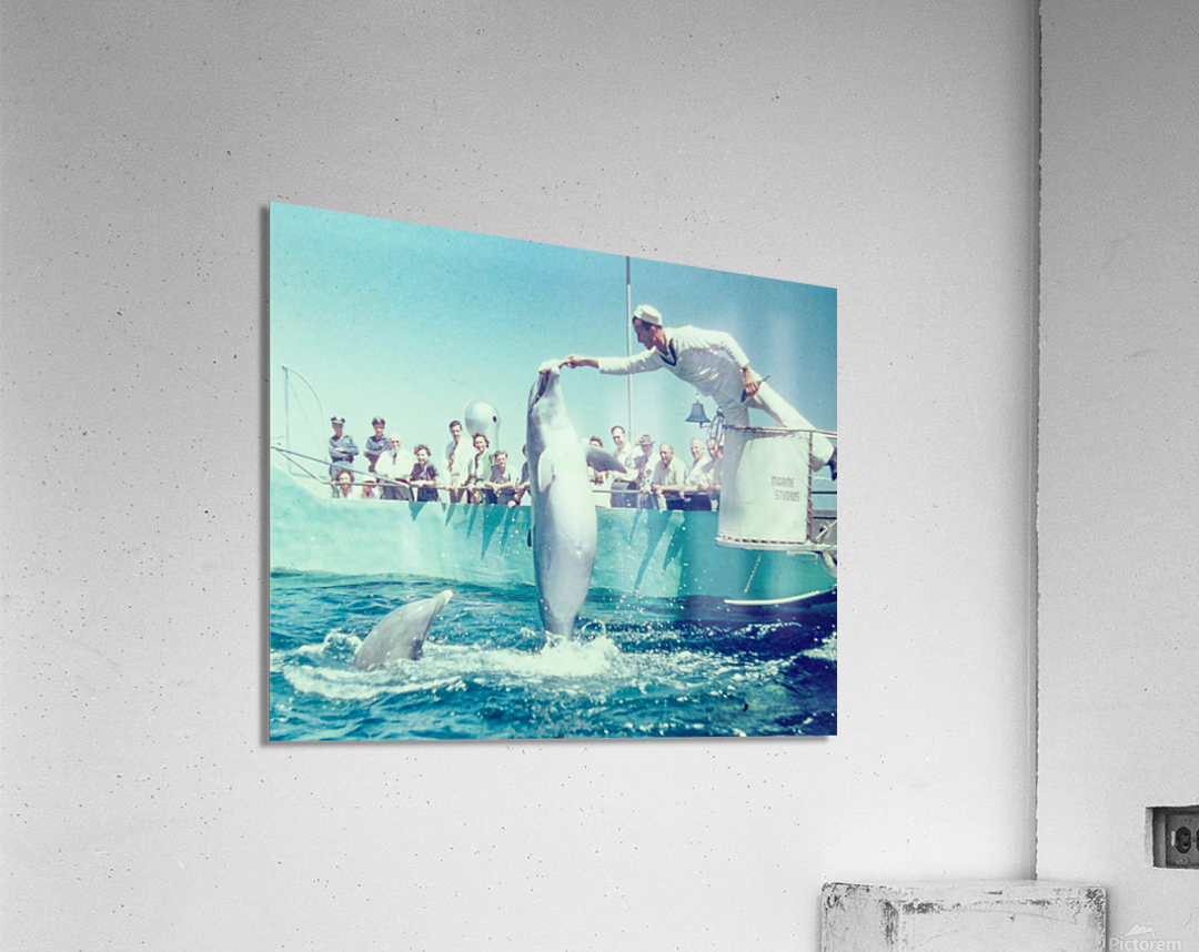 Found and Restored - Here Mammal Mammal  - Kodachrome Acrylic Print