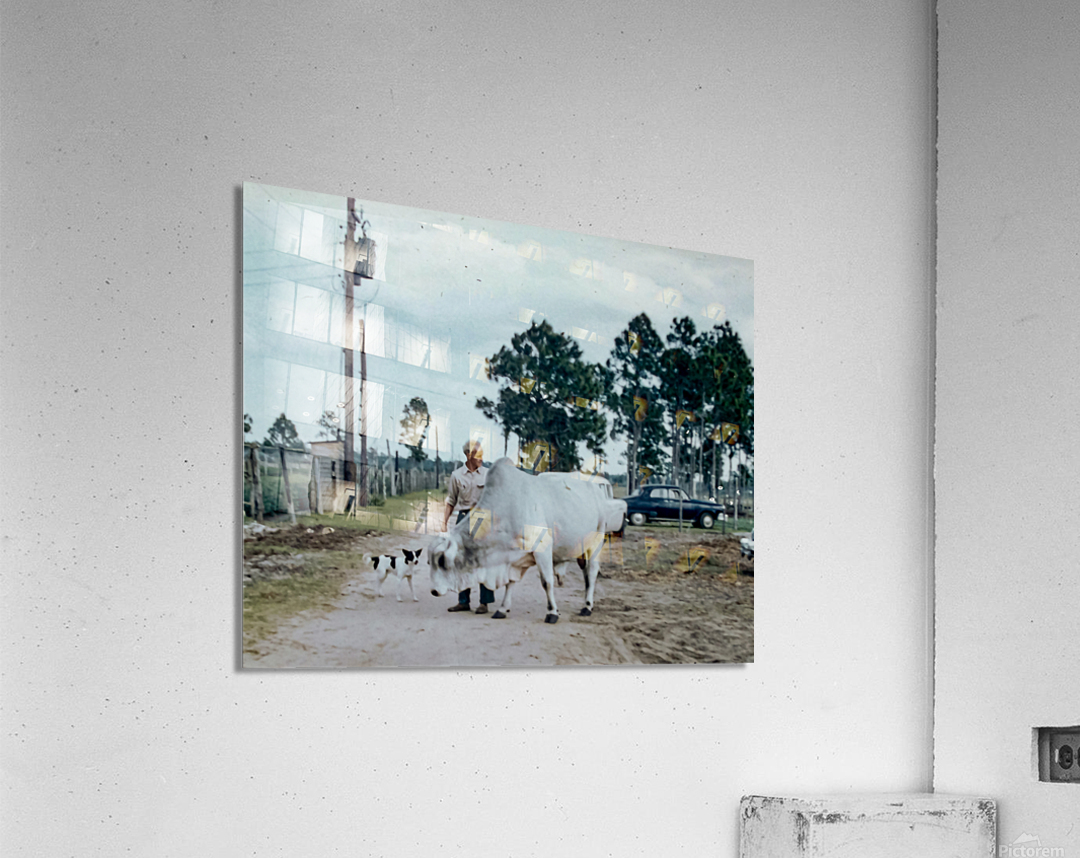 Found and Restored - Farm Family on the Road - Kodachrome Acrylic Print