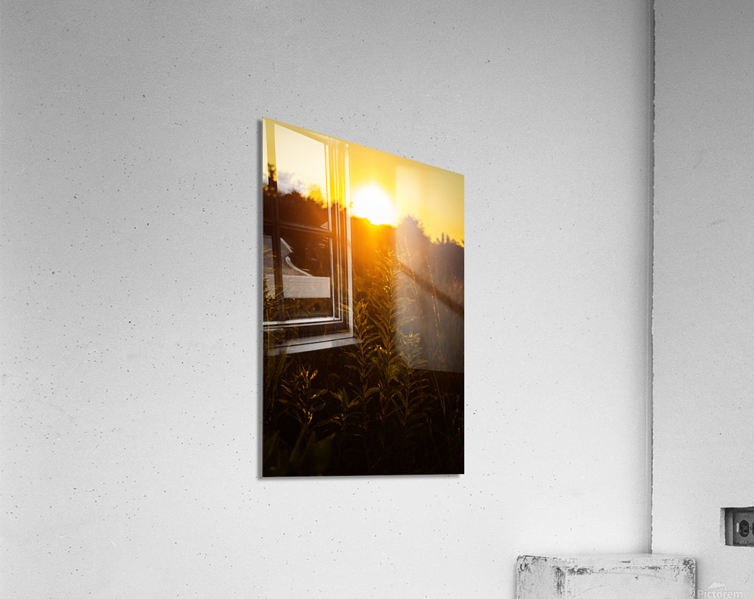 Nature Photography - A Crown - Indian Camp Creek Wentzville Acrylic Print