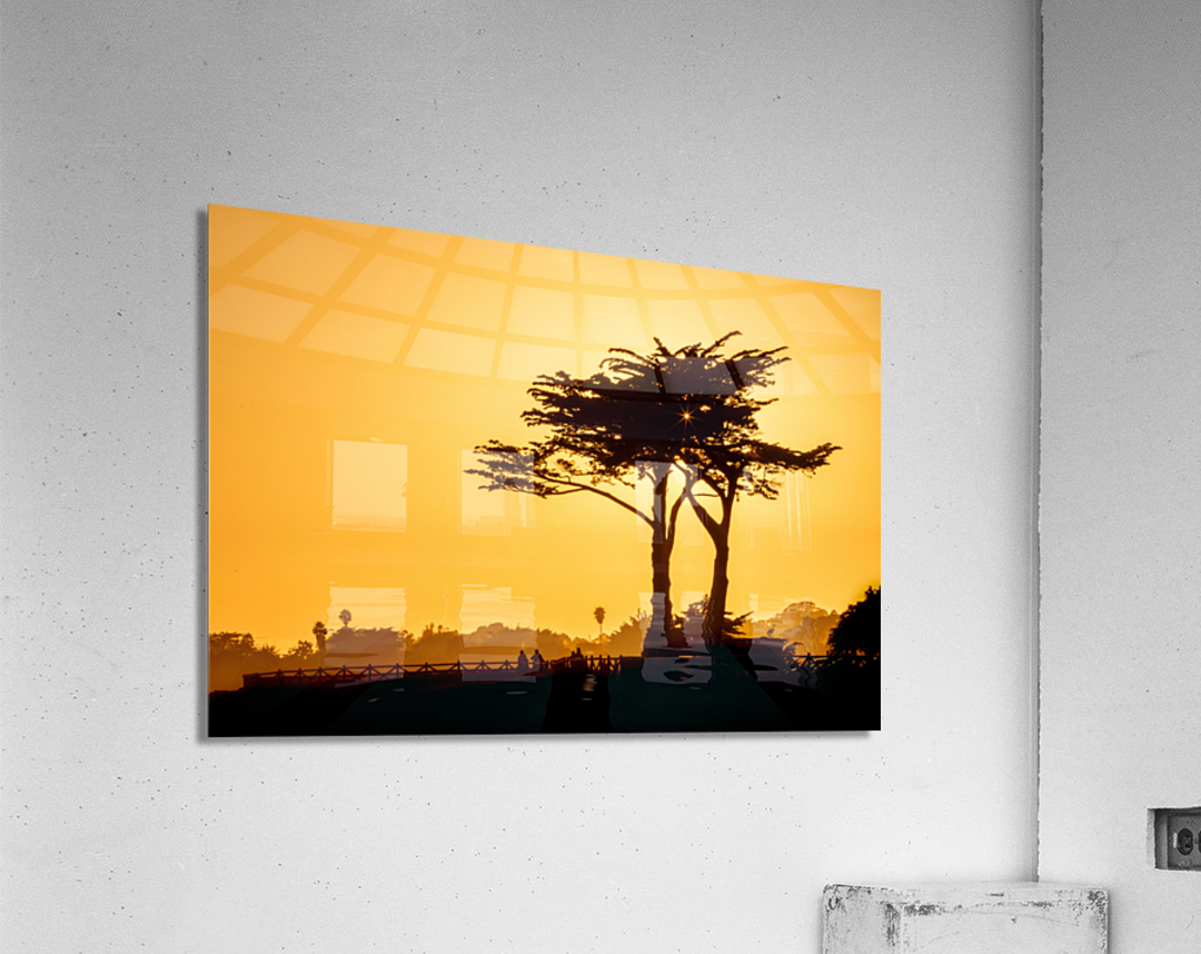 Sunset Tree Silhouette Acrylic Print