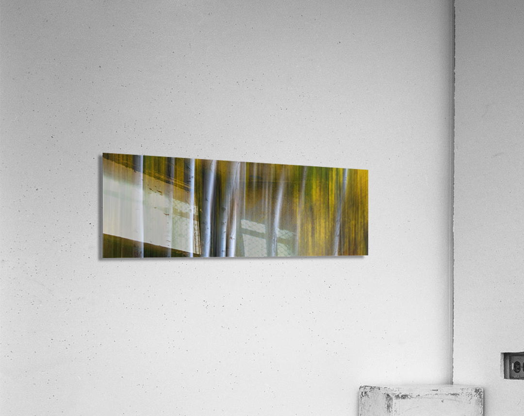 Roosevelt National Forest Wilderness Wonderla Acrylic Print