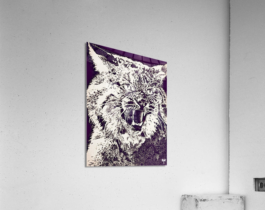 Vintage Kansas State Wildcat Art Acrylic Print