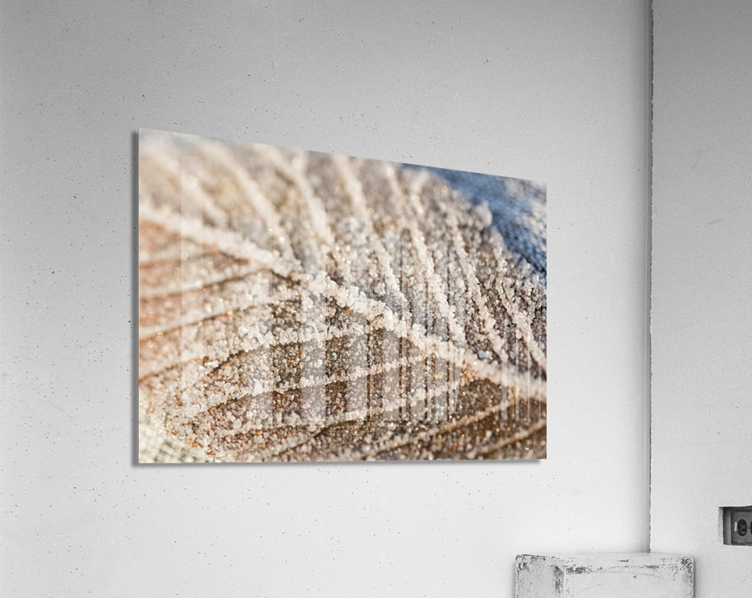 Frozen Leaf Acrylic Print