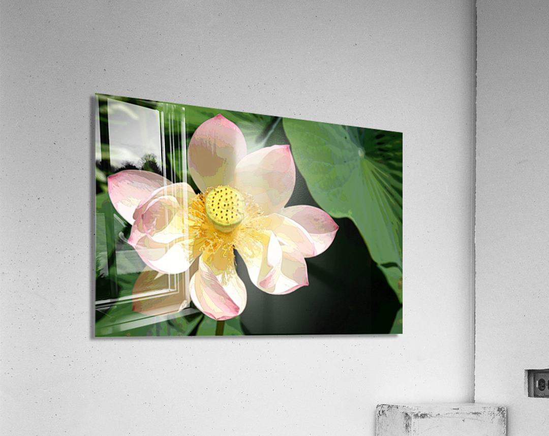 IMG 5539 A2 Acrylic Print