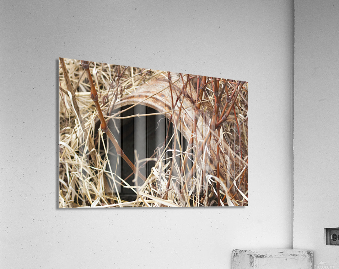 000007 Acrylic Print