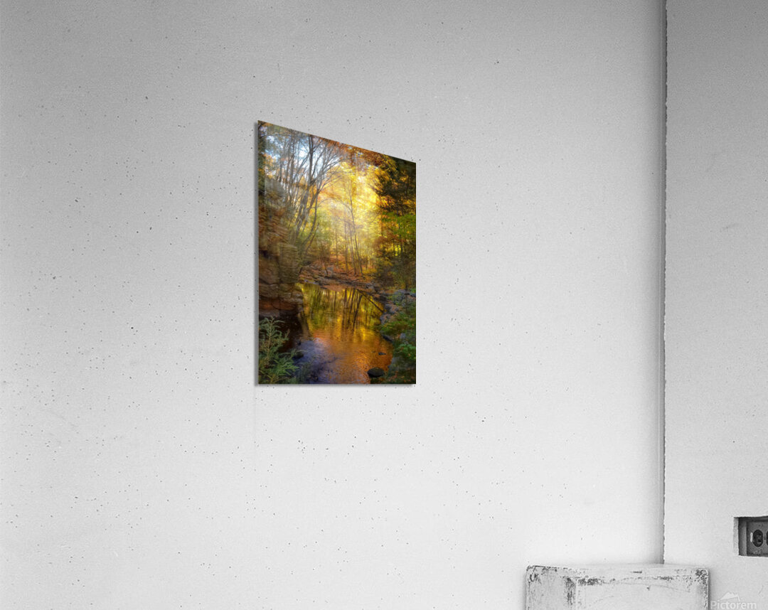 02 Cotton Hollow Autumn Glow Acrylic Print