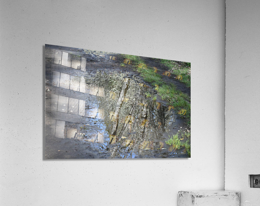 Path Reflection Acrylic Print