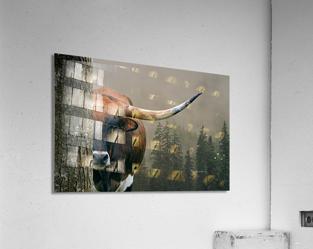 Longhorn Cow In Trees Acrylic Print