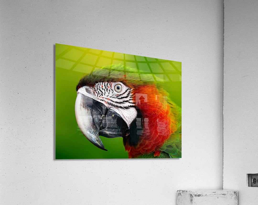 7F95D3C0 81A8 4645 9E33 E8E0E041A368 Acrylic Print