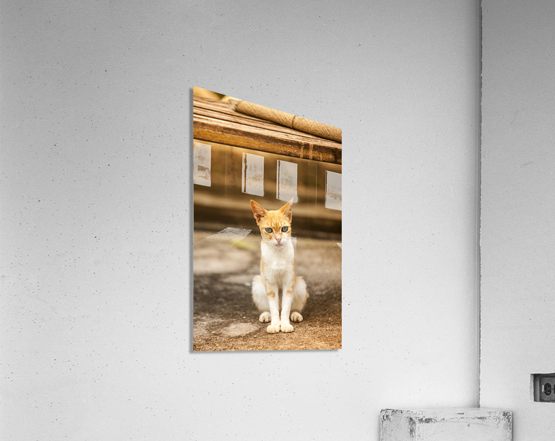 IMG_1320 Acrylic Print