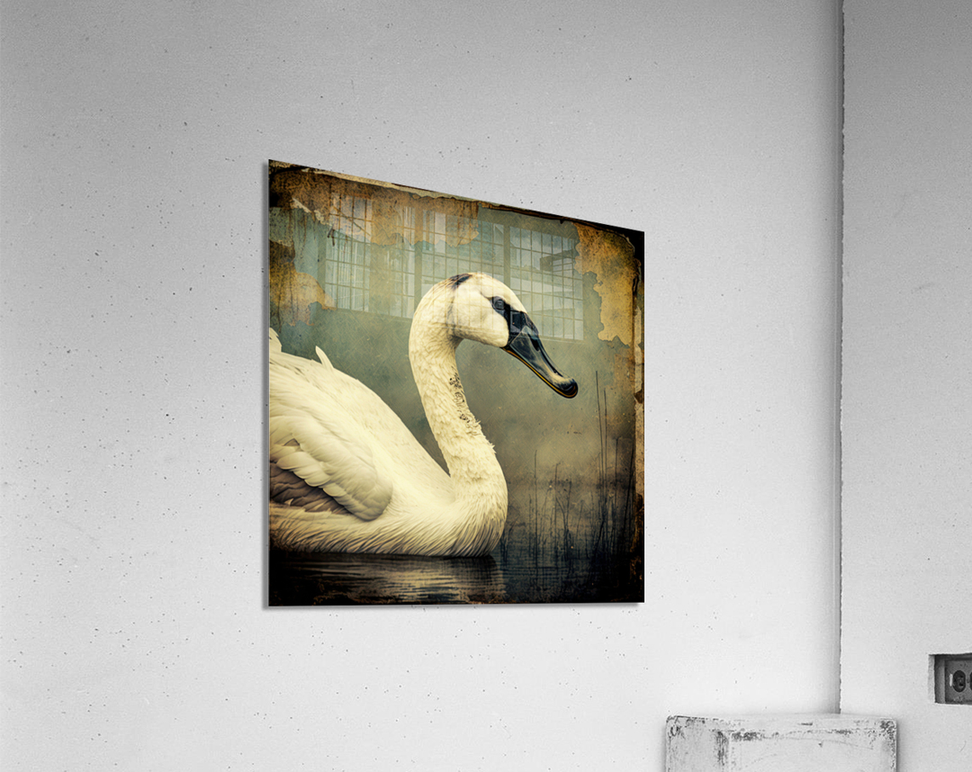 邦楽 ART-SCHOOL/SWAN SONG(DISC2) Amazon.co.jp: ART-SCHOOL/SWAN SONG(DISC2) : おもちゃ