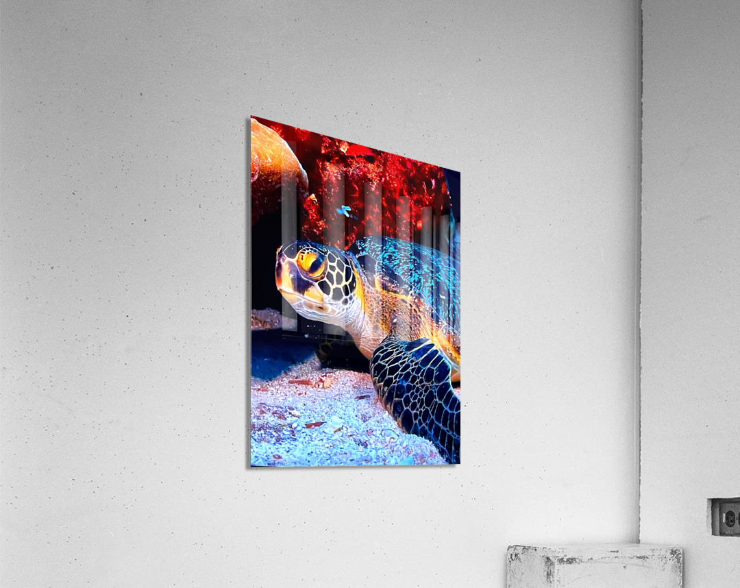 950121BA C5F5 4410 8FFC 79B59F184A2F Acrylic Print