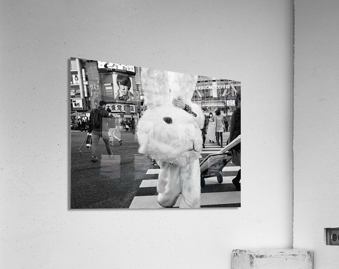 Untitled Acrylic Print