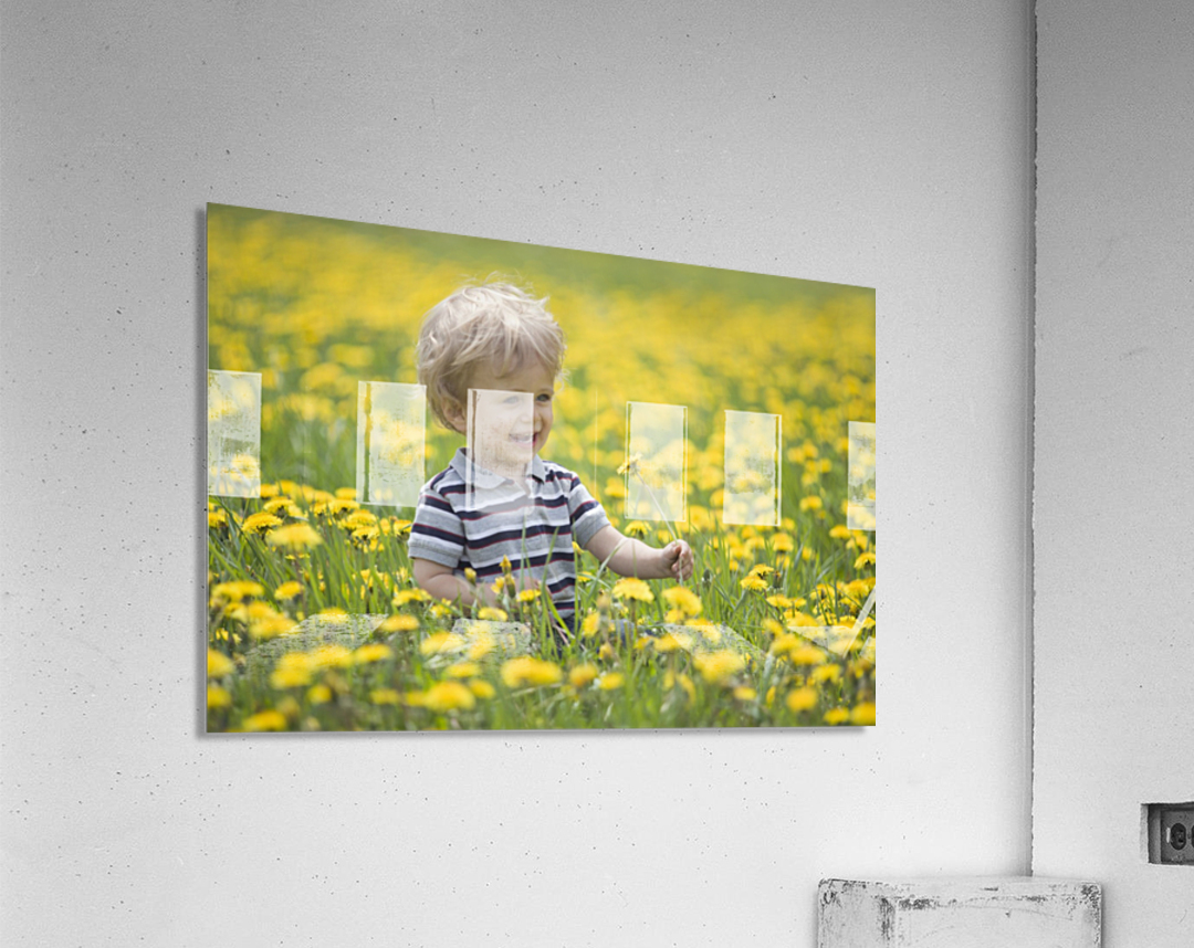 18-Month-Old Boy In Dandelion Field; Thunder Bay, Ontario, Canada Acrylic Print