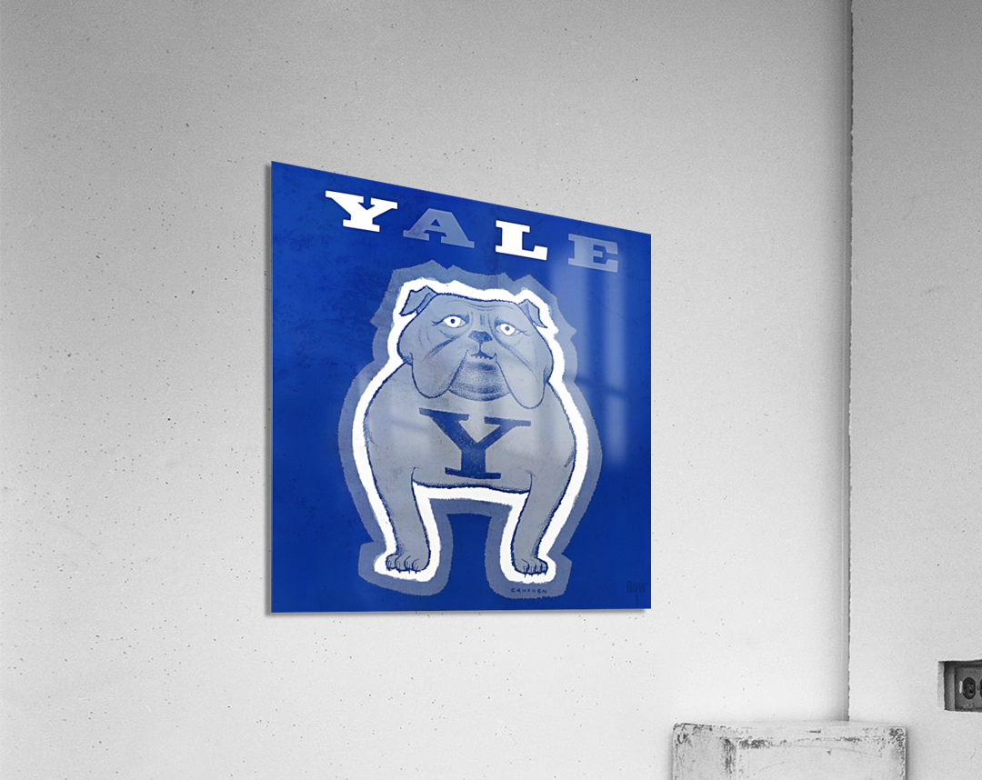 トップス jackson matisse yale bulldog JACKSON MATISSE 