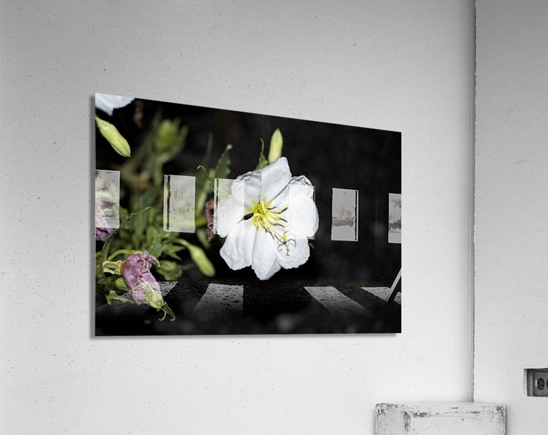 Projet qqq20190905 0174 Acrylic Print