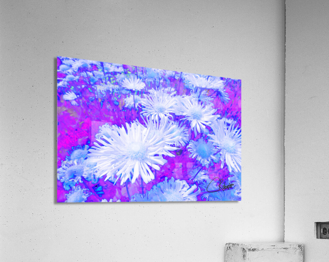 Summer Inverted Yellow Daises  Acrylic Print