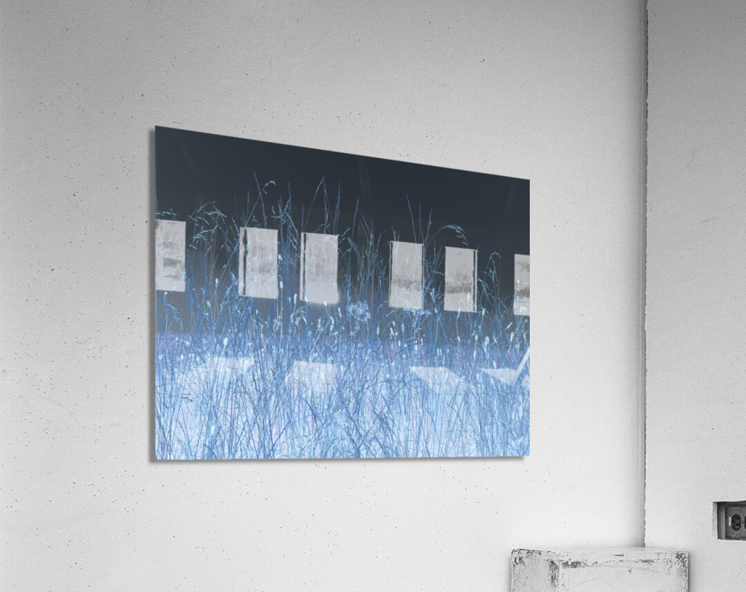  Autumnal Inverted Long Grass in the Mist Acrylic Print