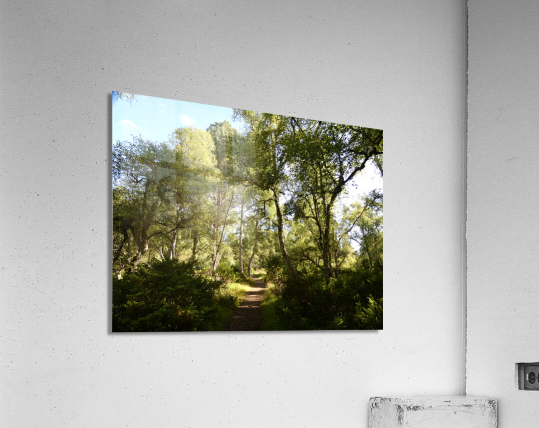  Leaving the Shadow Land in the Scottish Highlands Acrylic Print