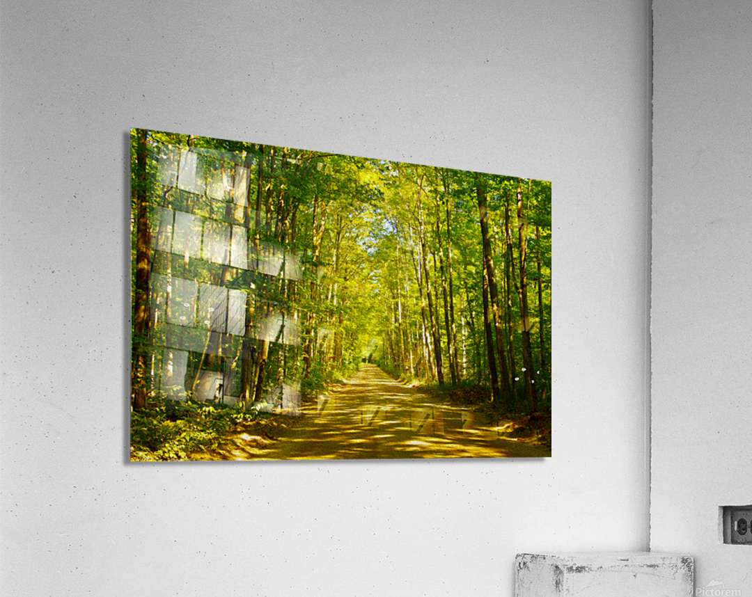 Peaceful Bancroft Side Road Acrylic Print