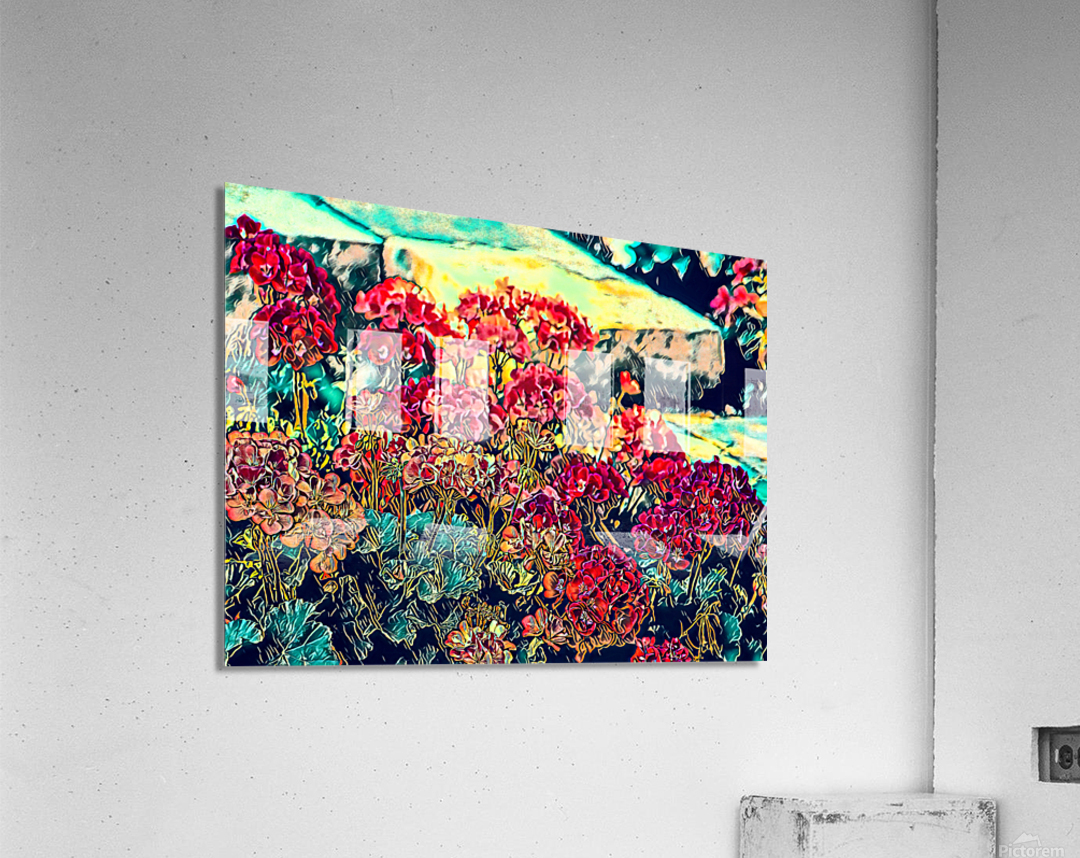 Geraniums Along the Front Steps Acrylic Print