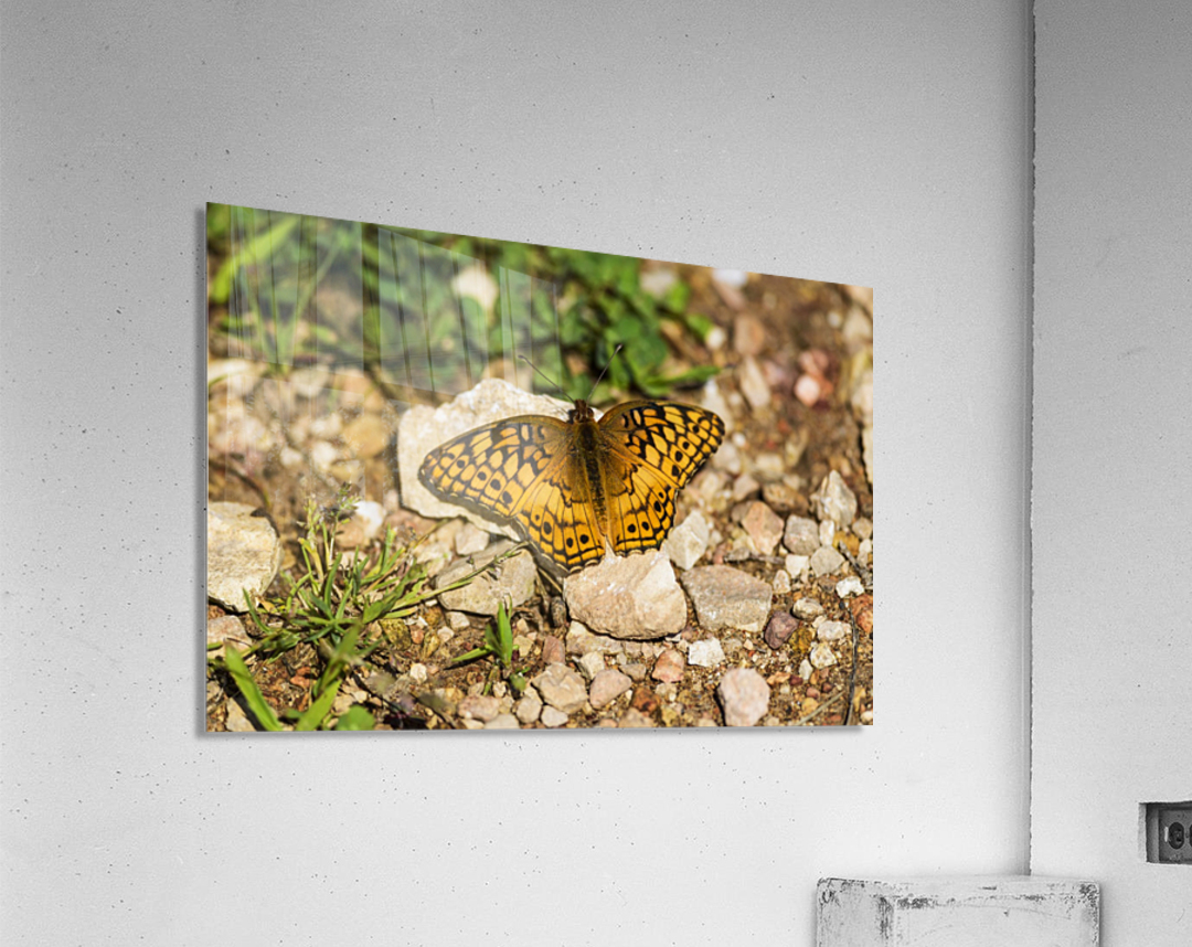 Acrylic printing