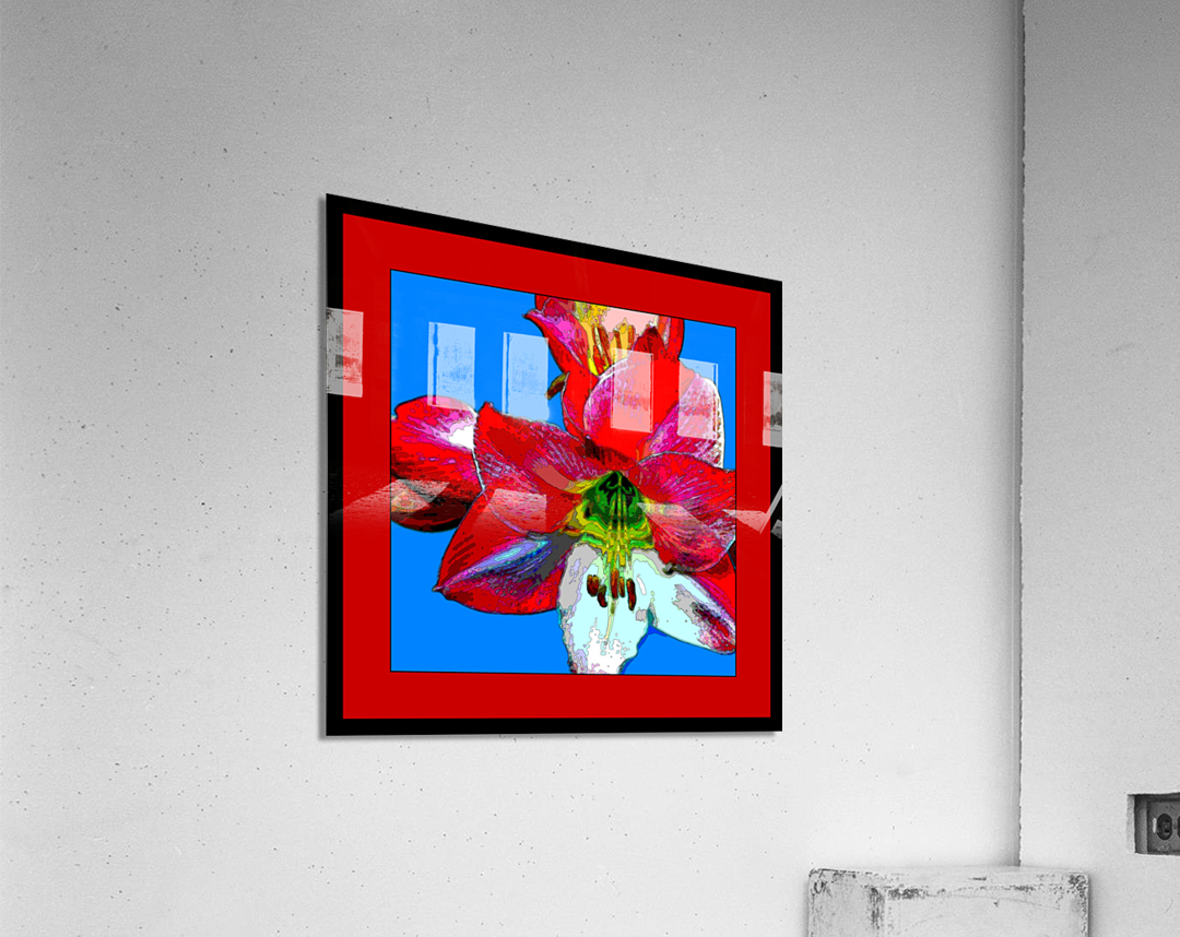 AMARYLLIS 002 Acrylic Print
