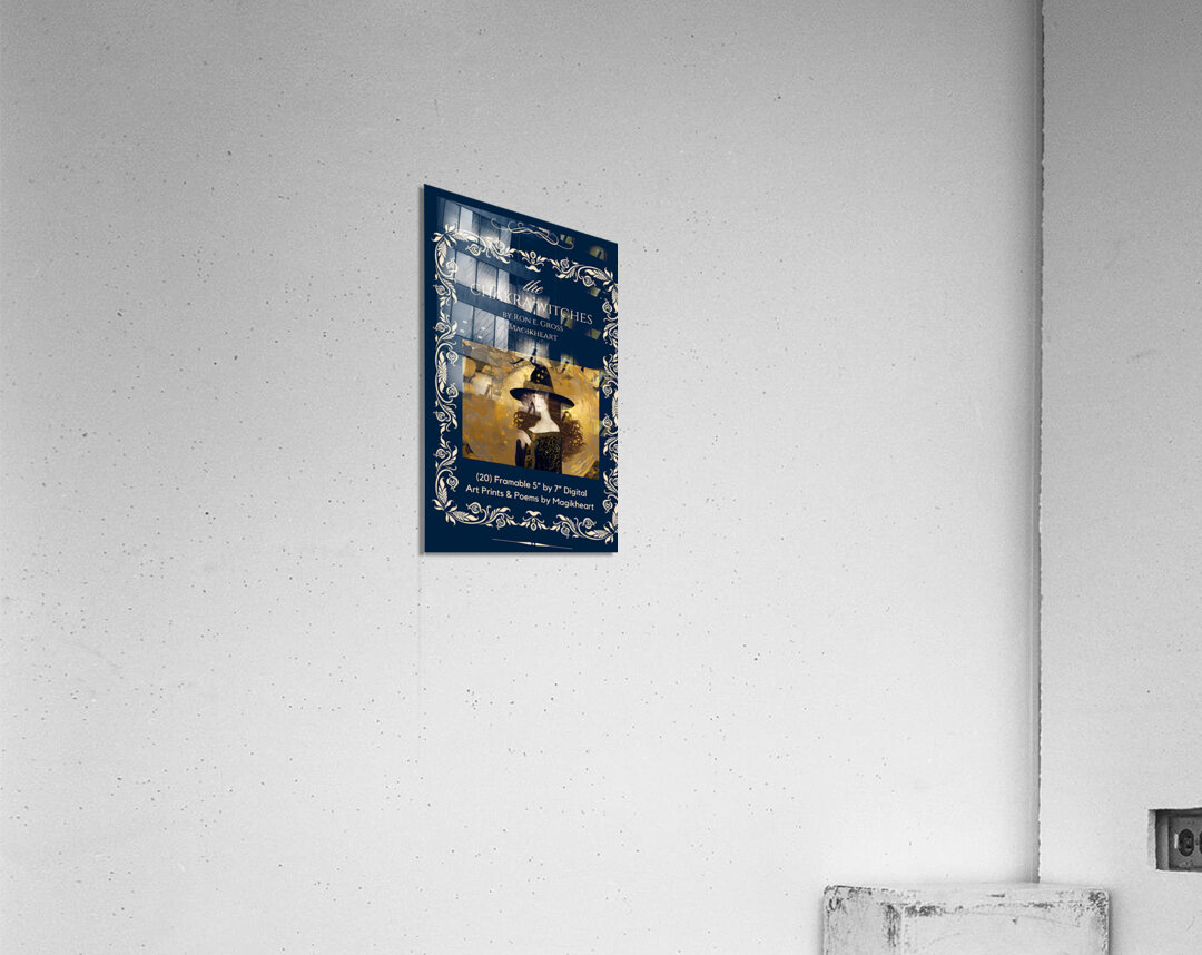 COLLECTOR ART PRINT SETS  Acrylic Print